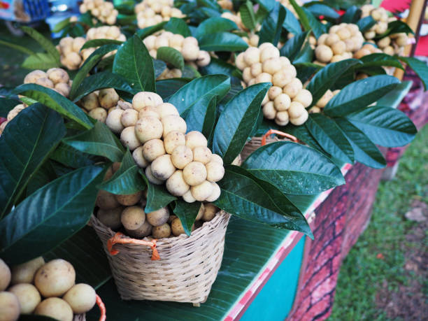Close up bunch of Longkong fruit (Thai southern langsat) in bamboo basket selling at market.