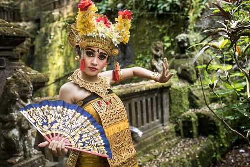 A young teenage Balinese girl wearing a traditional Barong costume gracefully poses with a hand fan and dances in a Hindu temple. The Hindu culture is still well preserved and children learn at a very young age the art of Ramayana and dance.