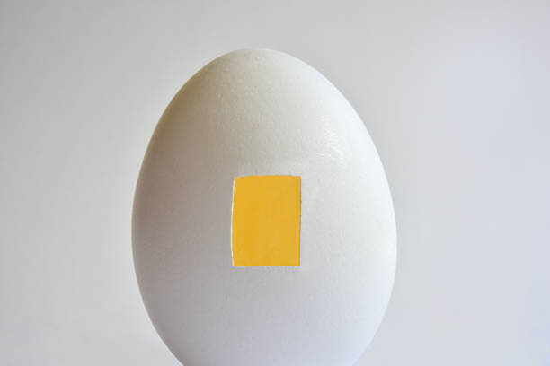 huevo con ventana cuidadosamente cortada - con su peculio - adhesive bandage currency finance repairing fotografías e imágenes de stock