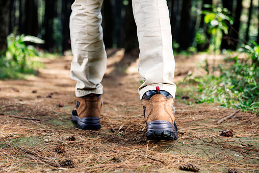 Hiker man with boots walking on the forest