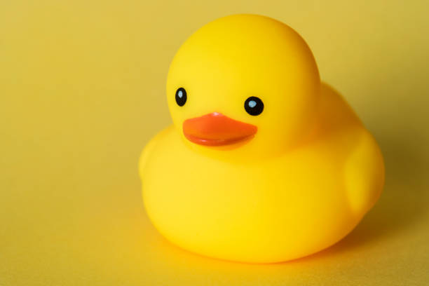 istock Closeup of rubber duck 1058627150