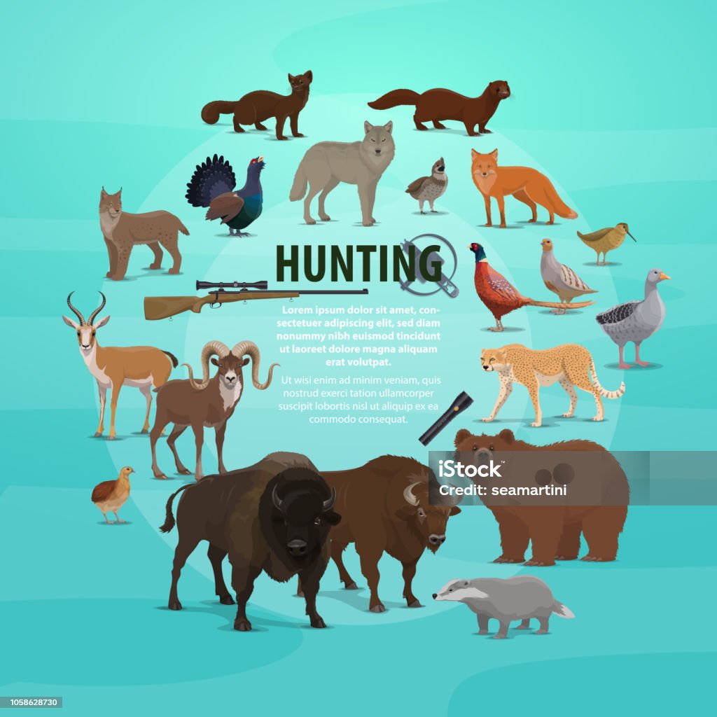 Hunting prey and gun poster with animals and rifle Hunting animal poster with rifle and lighter. Vector of hunter prey, bear and buffalo, badger and goat, deer and lynx, pheasant and wolf, marten and fox, duck and goose, jaguar and grouse vector Vector stock vector