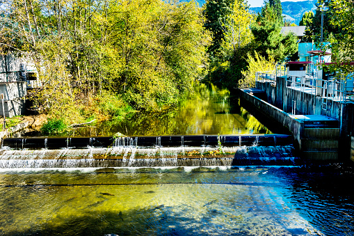 Fish Reflection Issaquah Creek Culvert at Salmon Hatchery Issaquah Washington