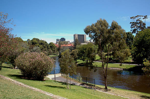 istock River Torrens with Adelaide Skyline Background 105862966