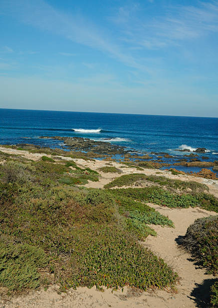 istock Path Down To Beach Corny Point, Yorke Peninsula, South Australia. 105863093