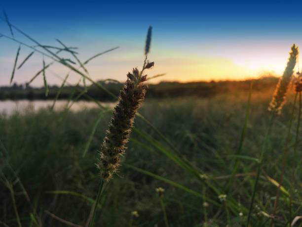 istock Sunset on evening beauty in nature 1058633548