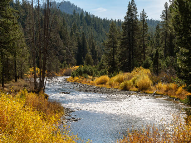 Truckee river in California during Autumn. Truckee river in California during Autumn. truckee river photos stock pictures, royalty-free photos & images