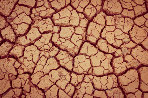 istock Crack earth/Crack soil on dry season/Global worming effect 1058640786