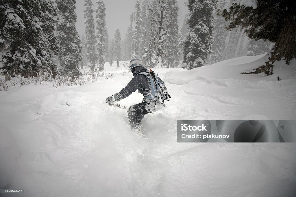 Persona de snowboard en la nieve del himalaya - Foto de stock de Bosque libre de derechos