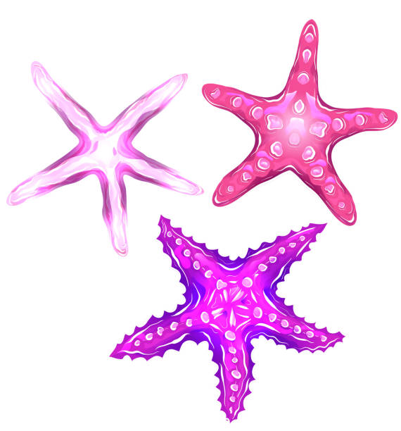 istock Set of neon cartoon illustrations of starfishes. The object is separate from the background. 1058647706