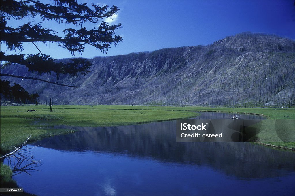 Parque Nacional de Yellowstone - Foto de stock de Azul royalty-free