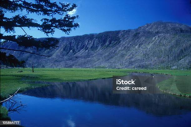 Foto de Parque Nacional De Yellowstone e mais fotos de stock de Azul - Azul, Exterior, Floresta