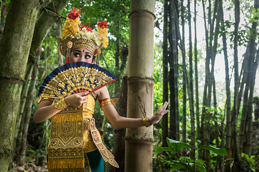 In a natural bamboo forest environment, a young teenage Balinese girl wearing a traditional Barong costume and holding a hand fan gracefully poses and dances in front of the camera. The Hindu culture is still well preserved and children learn at a very young age the art of Ramayana and dance.