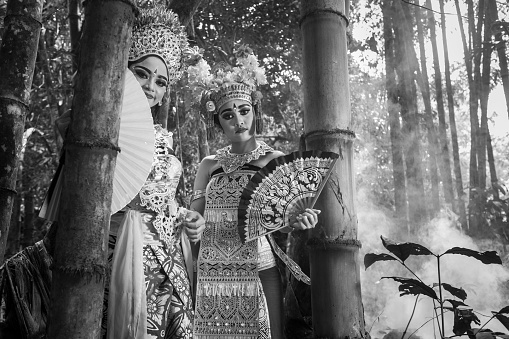In Black and white mode, two young teenage Balinese girls wearing traditional costumes and holding a hand fan pose in a bamboo background environment in Bali, Indonesia. The Hindu culture is still well preserved and children learn at a very young age the art of Ramayana and dance.