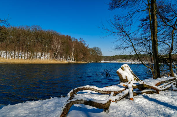 additional keyword: zehlendorf, local recreation, nature in the city