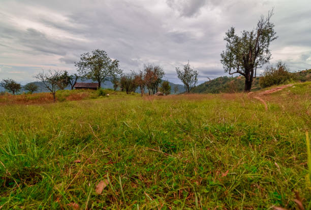 istock View From Bhimtal Road in Uttarakhand - Nainital District 1058659870