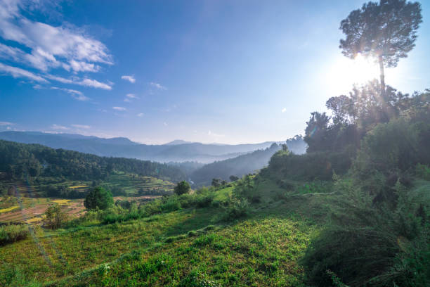 istock Farm in Bageshwar Uttarakhand, India 1058663012