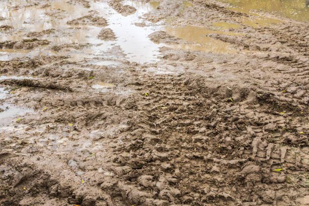istock Tire tracks on a wet muddy road 1058663360