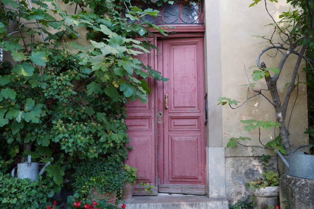 istock A classic door with plants 1058663936