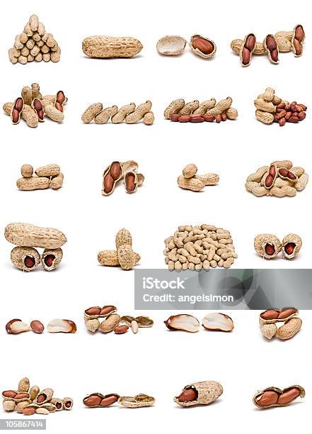 Amendoins - Fotografias de stock e mais imagens de Agricultura - Agricultura, Amendoim - Alimento, Atuação