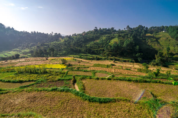 istock Step Farming in Bageshwar, Uttarakhand 1058679886