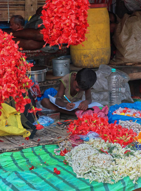 little boy studies in a flower shop at mallick ghat flower market in howrah - vertical lift bridge imagens e fotografias de stock