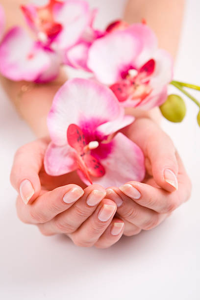 woman hands 