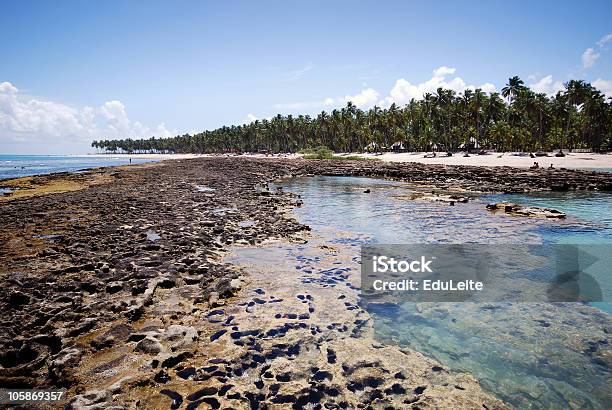 Tropical Beach Stock Photo - Download Image Now - Arranging, Awe, Backgrounds