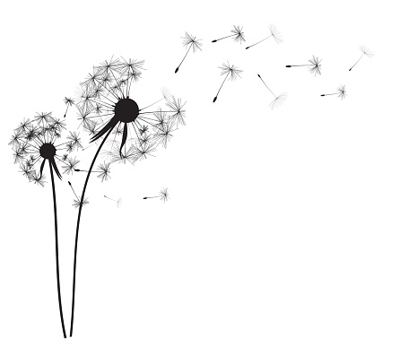 Abstract dandelion background  vector illustration EPS10