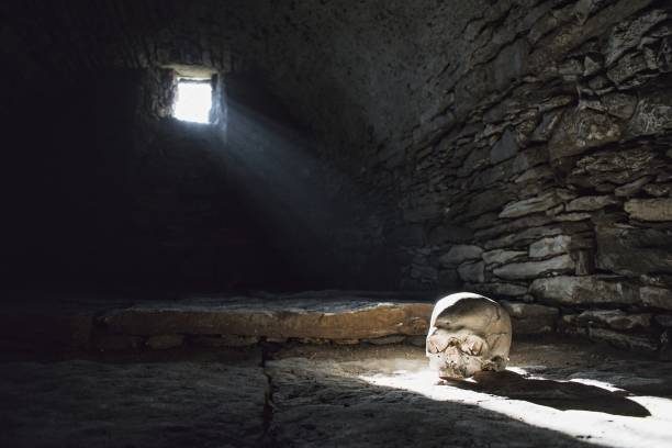 Human skull in the scary underground, spooky old castle cellar