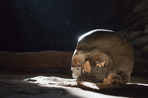 Cráneo humano en el miedo subterráneo, spooky viejo sótano del castillo photo