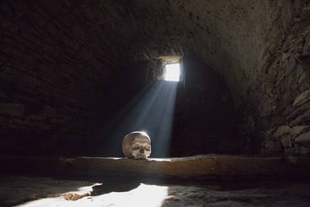 istock Human skull in the scary underground, spooky old castle cellar 1058697012