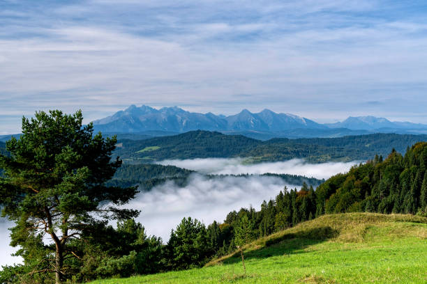 Beautiful landscape of Pieniny National Park. stock photo