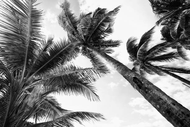 istock Hurricane - Storm on Florida. 1058701354