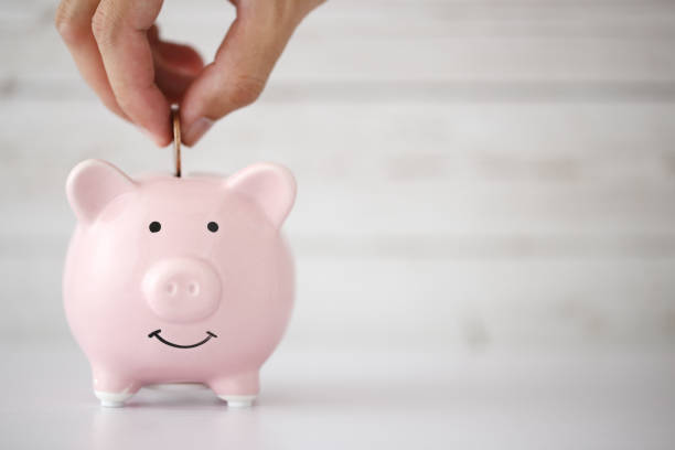 концепция экономии денег - pig currency savings piggy bank стоковые фото и изображения
