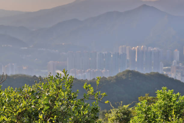 istock sha tin downtown at day time at lion rock 1058702240