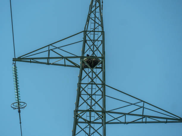 istock Hiking beside a lake 1058704128