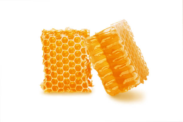 Honey in honeycomb two pieces isolated on white background Honey in honeycomb two pieces isolated on white background, close-up beeswax photos stock pictures, royalty-free photos & images