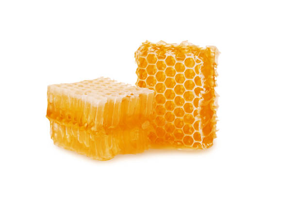 istock Honeycomb pieces isolated on white background 1058705150