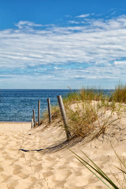 istock Dune at the Baltic Sea, Grass sand dune beach sea view 1058705220