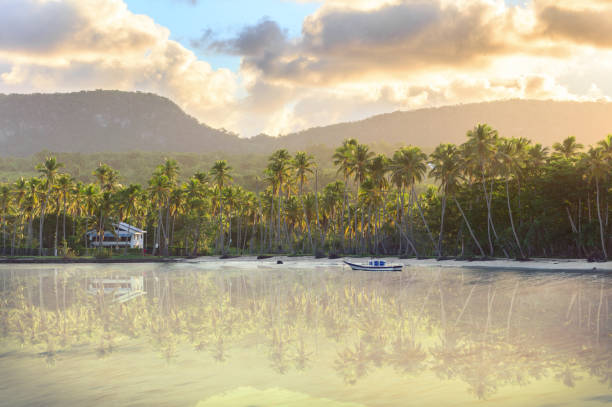 istock sunset beach with tall palm trees and lonely boat 1058705236
