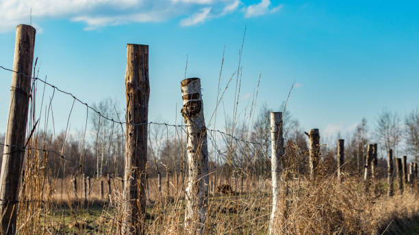 istock arable fields in the south of Poland 1058706800