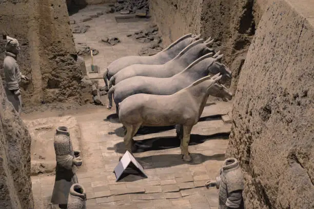 Horseheads in the Xian Terracotta Warriors Tomb