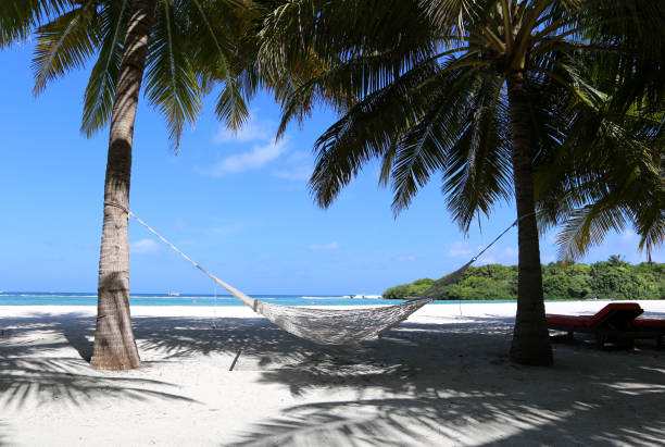 istock Hammock in the Maldives 1058710780
