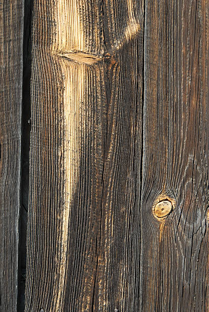 istock texture natural old wooden background 105871630