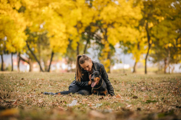 Young woman playing with her Doberman dog in the park