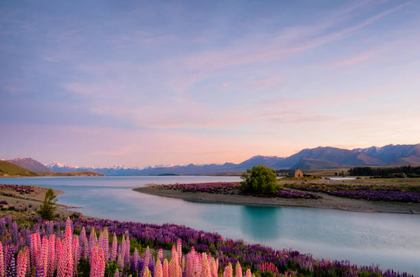 istock Dawn At Lake Tekapo 1058718760