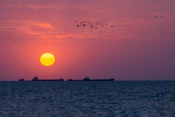 istock Ships at sunset float on the horizon 1058719222