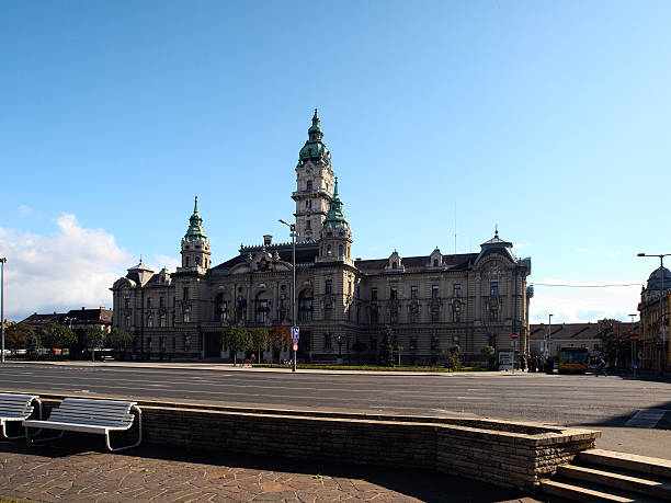 istock Town hall in Gyor 105871923