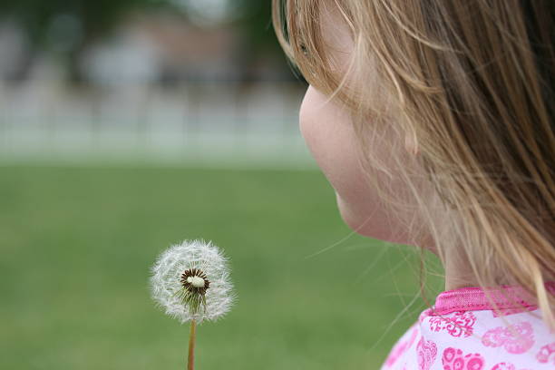 istock Little Girl with a dandelion 105872168